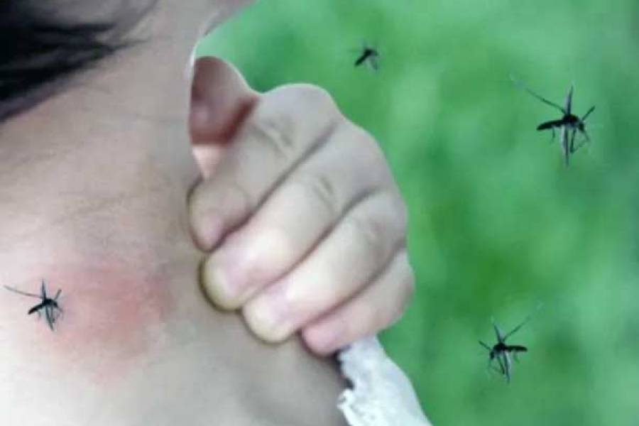 El total acumulado de casos de dengue alcanza los 9.252 en Catamarca