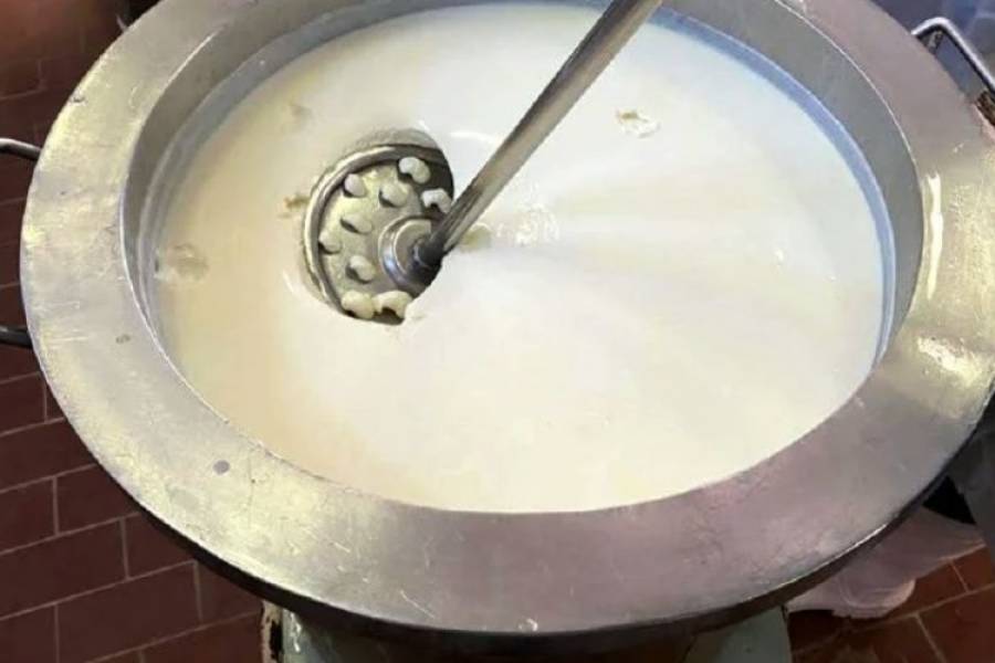 Científicos del Conicet crearon un yogur que mejora la salud digestiva y sanguínea