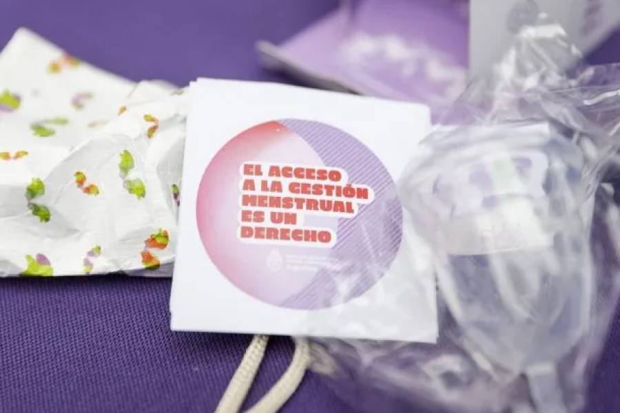 El Gobierno eliminó el programa MenstruAR y otros 12 planes