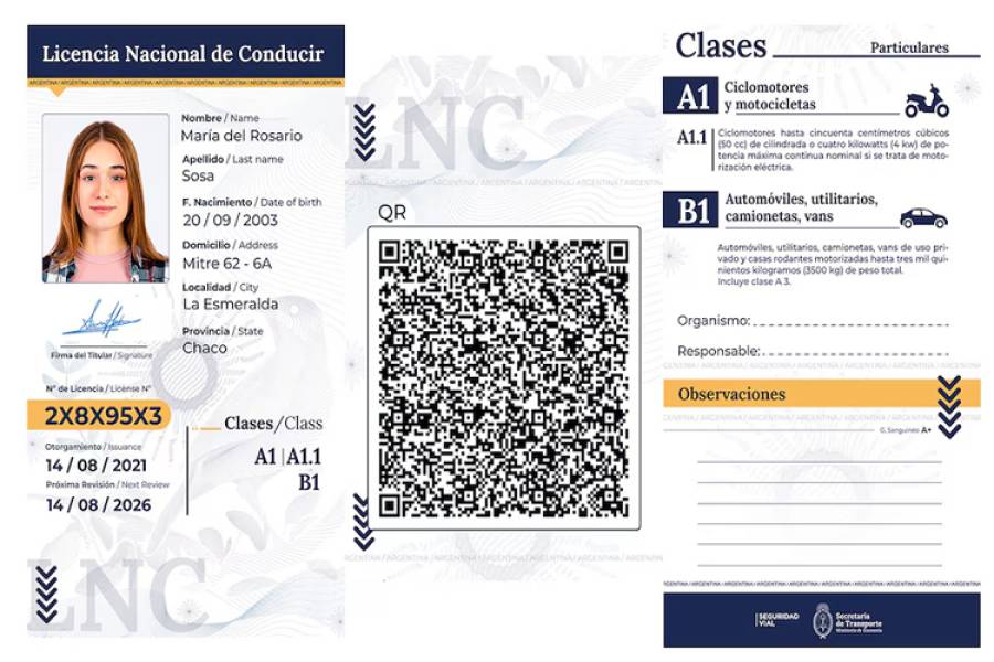 Desde este lunes rige la nueva Licencia de Conducir Digital: qué jurisdicciones adhirieron y cómo es el trámite online