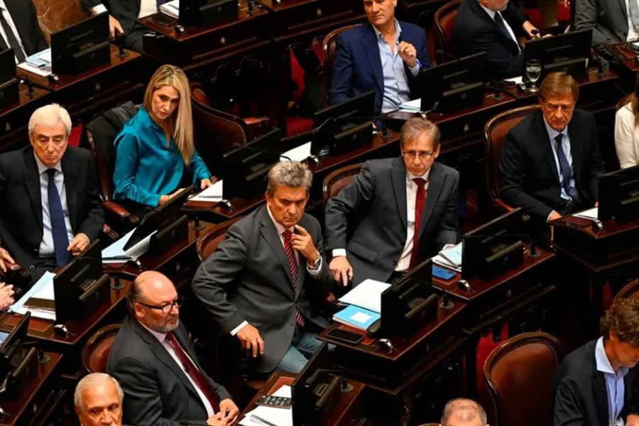 El Senado debate el aumento de jubilaciones y la emergencia por discapacidad