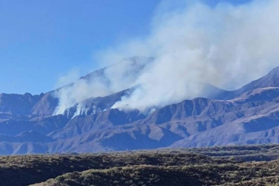 Incendio en El Manchao: El fuego persiste y se dificulta el acceso de brigadistas hacia el lugar