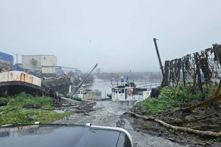 Terremoto en Rusia y alerta de tsunami en todo el Océano Pacífico 