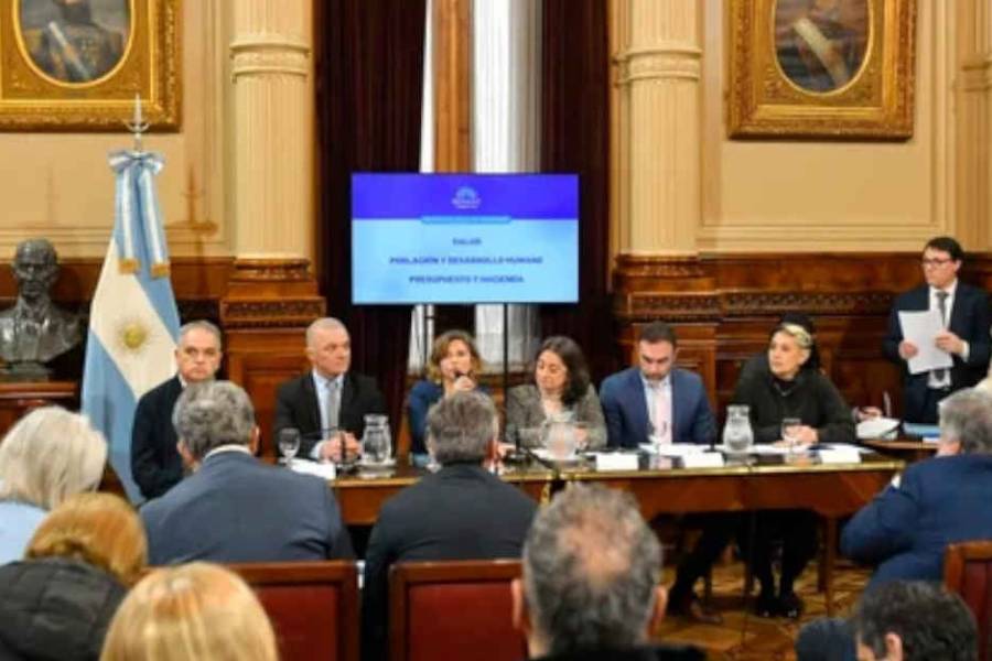 El Senado discute en comisión los proyectos de financiamiento universitario y emergencia en pediatría