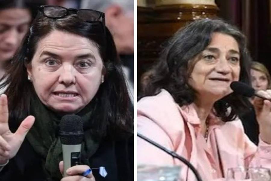 Indignación por dichos de senadora del PRO: 