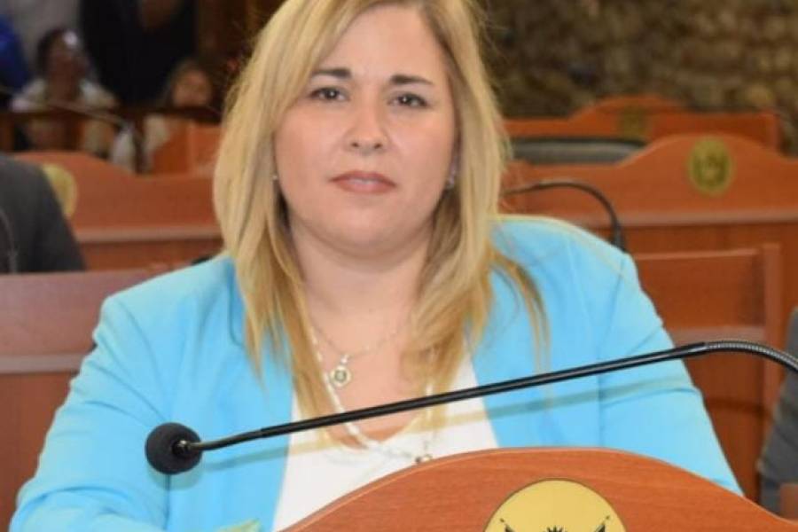 La diputada Verónica Vallejos aseguró que Nación se está ocupando de los comedores 