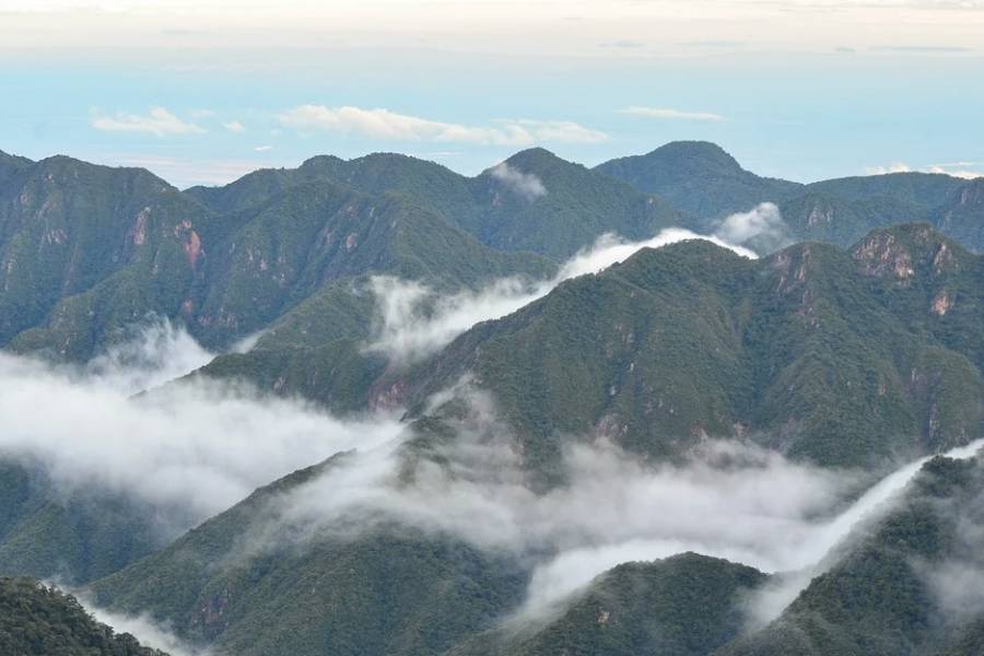La Corte Suprema condenó al Estado nacional y a Jujuy por daño ambiental en el Parque Nacional Calilegua