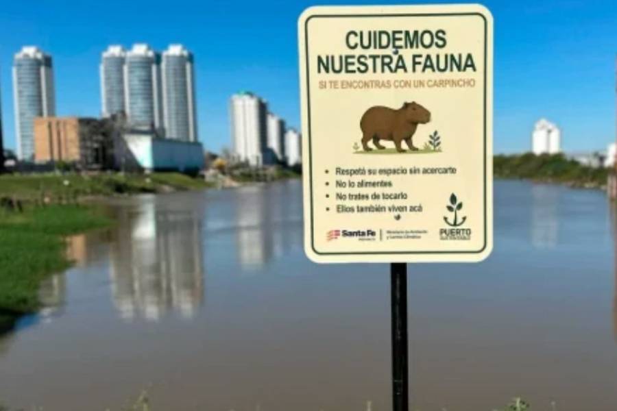 Buscan proteger a los carpinchos del Puerto de Santa Fe con la instalación de cartelería