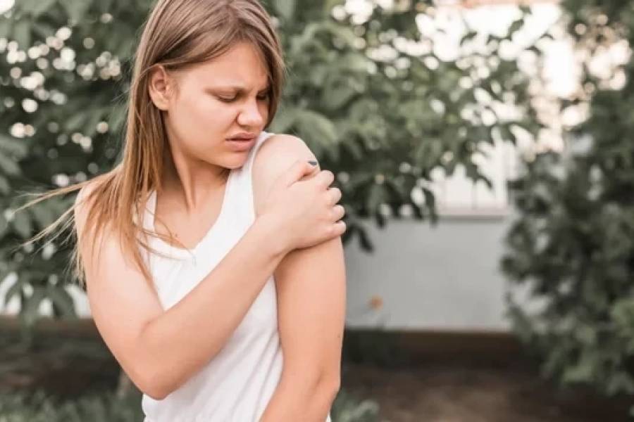 Con la primavera, advierten por el avance del dengue y llaman a reforzar la prevención