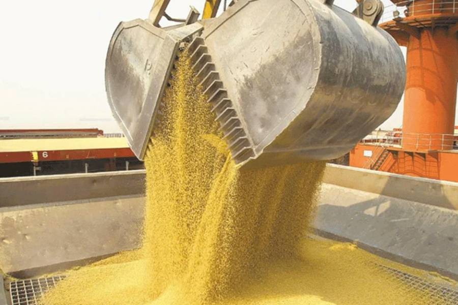 Récord histórico: el agro liquidó US$ 7.100 millones en septiembre