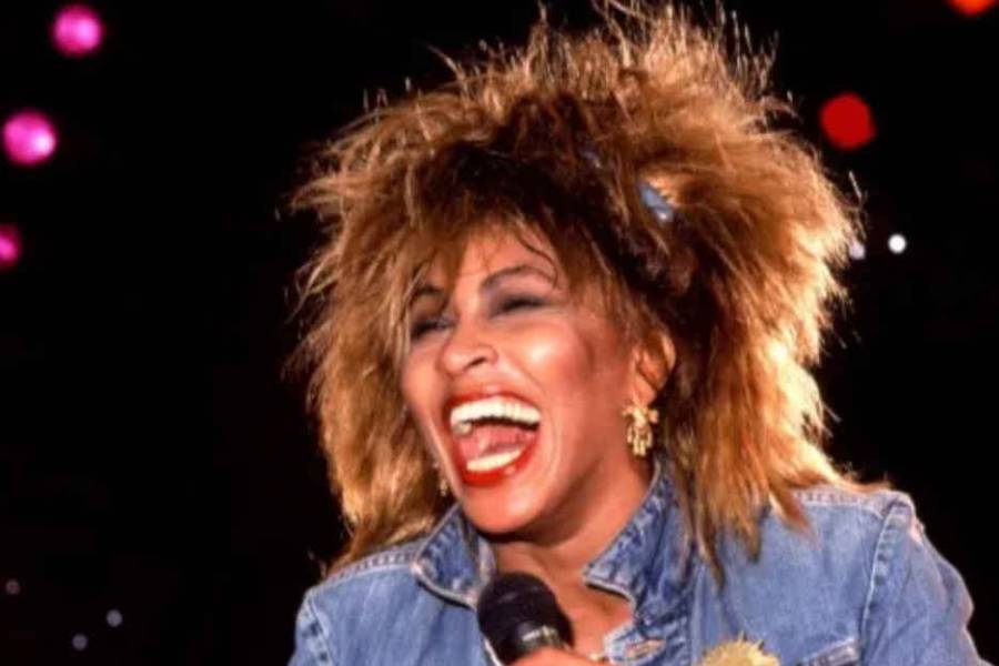 Bronca entre fanáticos por una estatua de Tina Turner: qué pasó