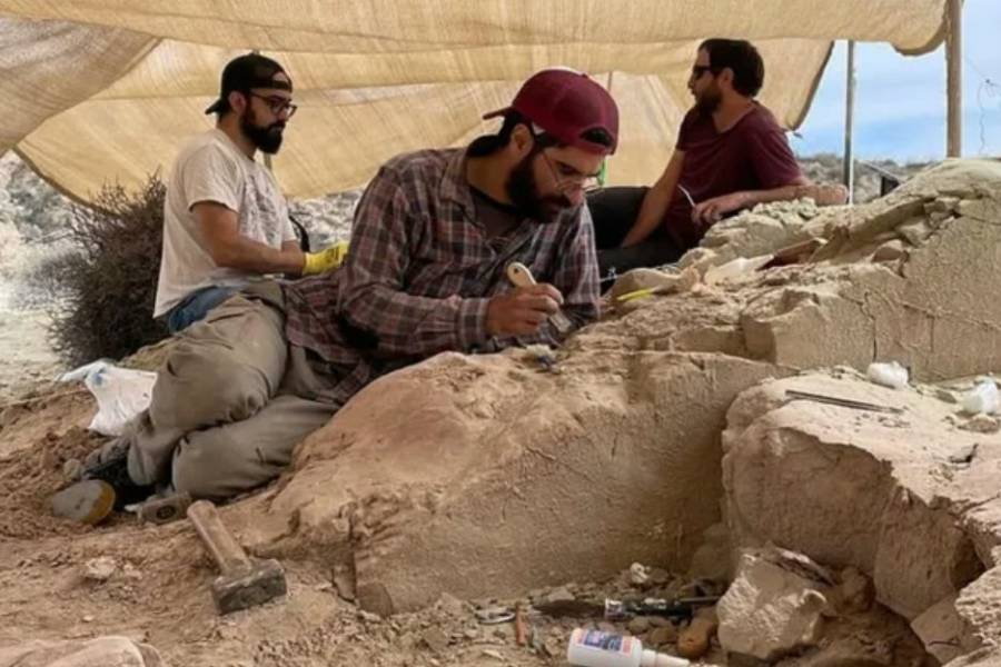 El nuevo streaming del Conicet en busca de una nueva especie de dinosario: cuándo empieza y dónde verlo