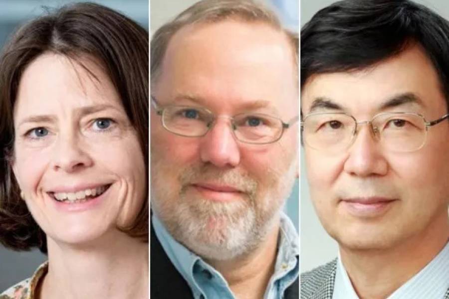 Otorgan el Premio Nobel de Medicina 2025 a tres investigadores de la ciencia del sistema inmune