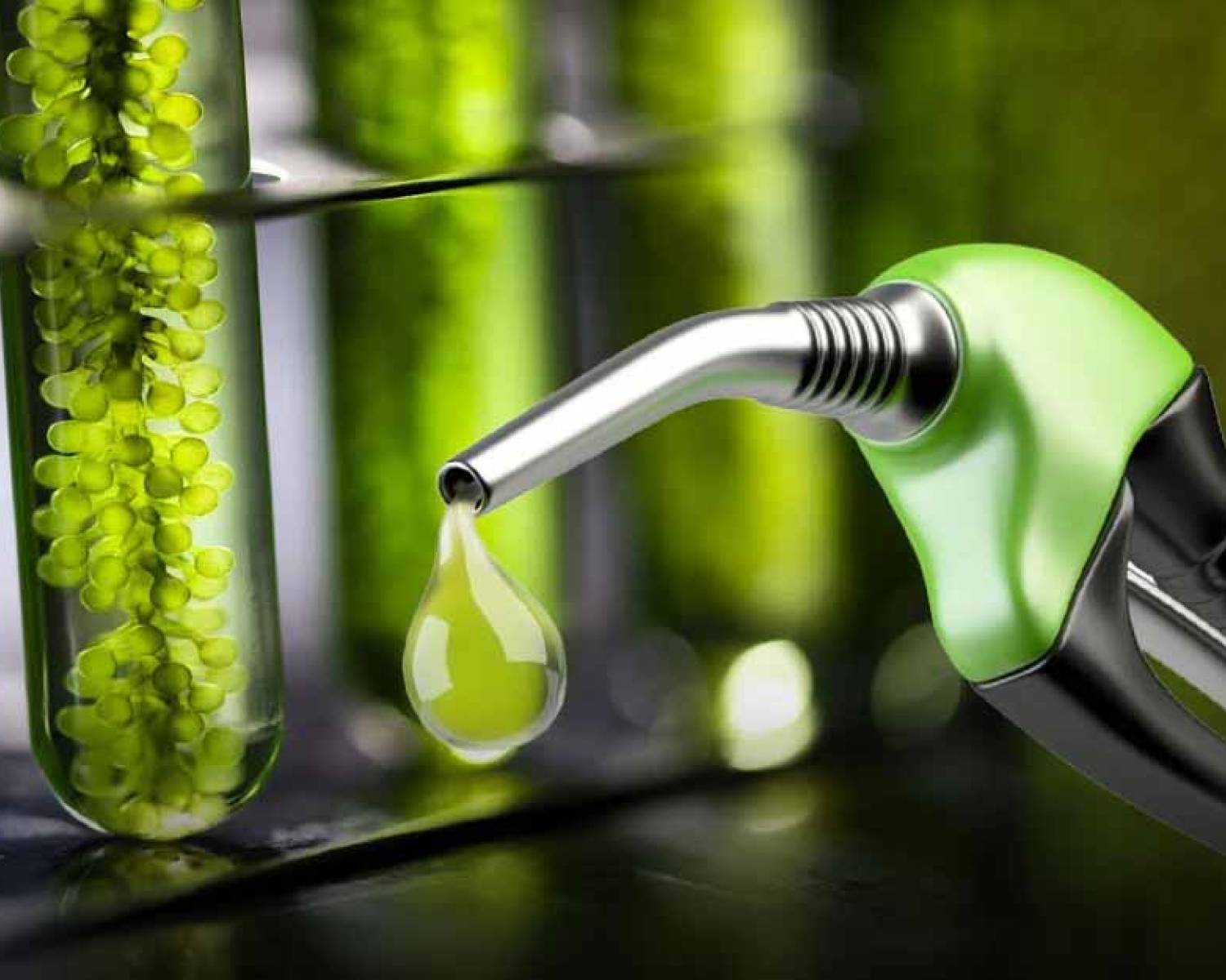 El Gobierno oficializó los nuevos precios de los biocombustibles