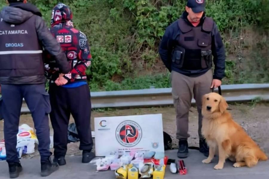 Llevaba marihuana escondida entre paquetes de yerba y harina rumbo a Mendoza