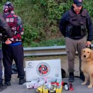 Llevaba marihuana escondida entre paquetes de yerba y harina rumbo a Mendoza