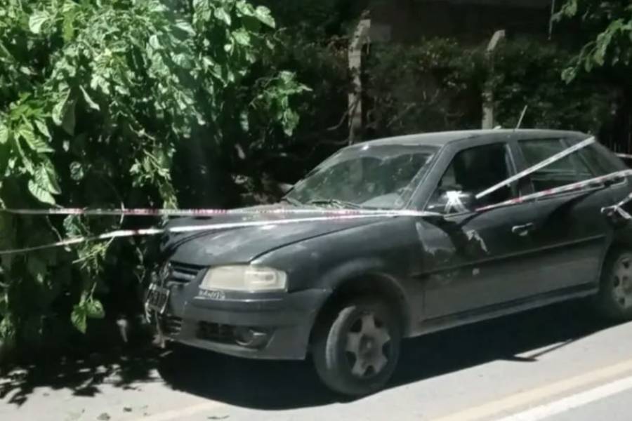 Iba a gran velocidad, perdió el control y chocó contra un árbol en Huaco