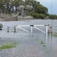 Inundaciones en PBA: casi 6 millones de hectáreas se vieron afectadas y se perderían US$2.000 millones