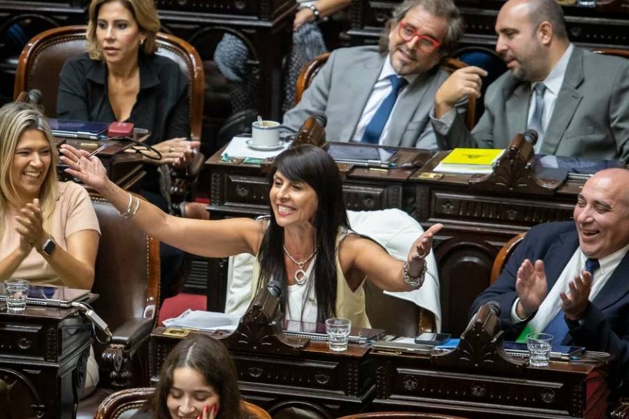 El Senado debate los diplomas de legisladores electos con foco en la libertaria Villaverde