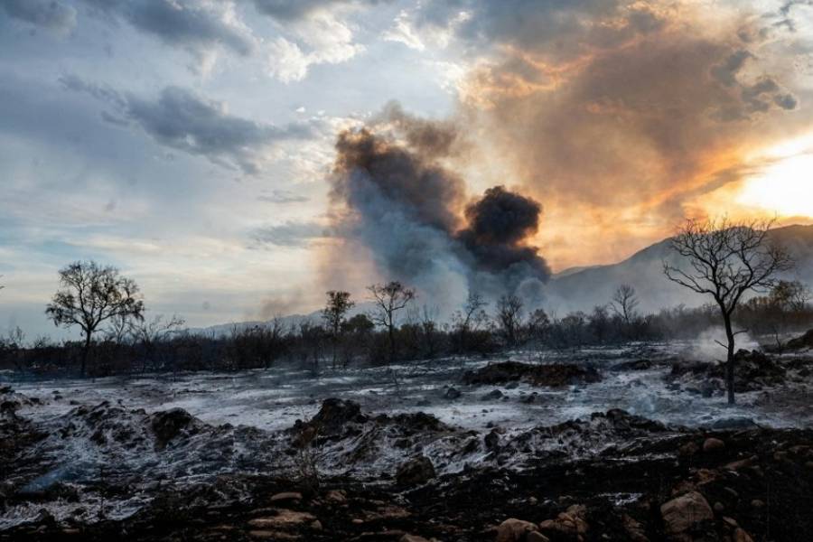 Voraz incendio se desató en La Rioja