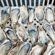 Con una especie invasora elaboran la primera salsa de ostras nacional