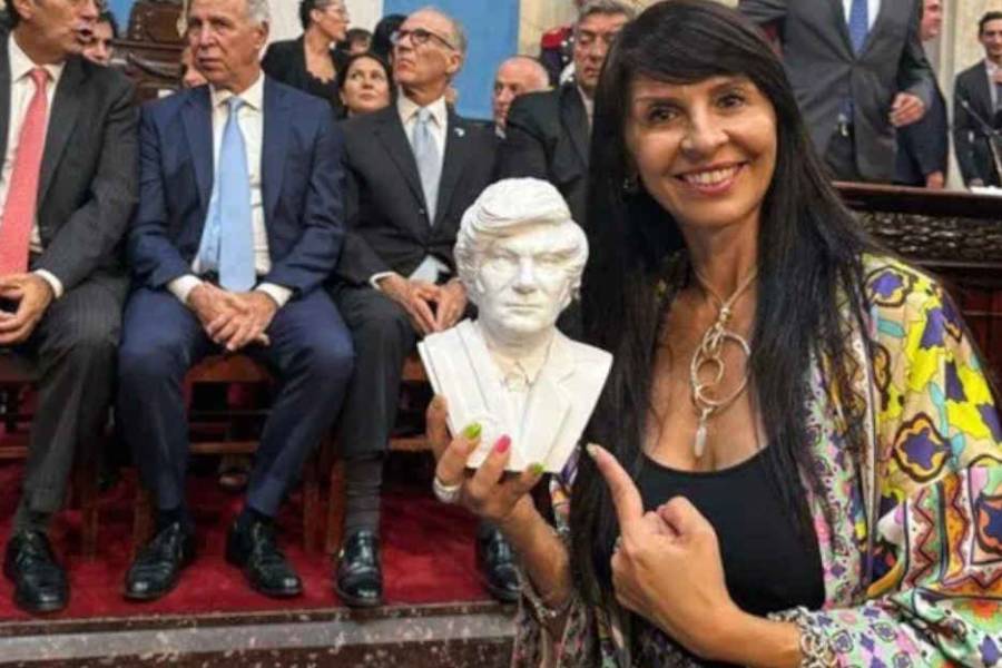 Lorena Villaverde confirmó que no asumirá en el Senado: 