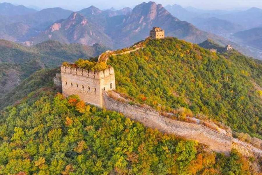 Curiosidades de la Gran Muralla China: tiene una “piel viva” que actúa como escudo protector