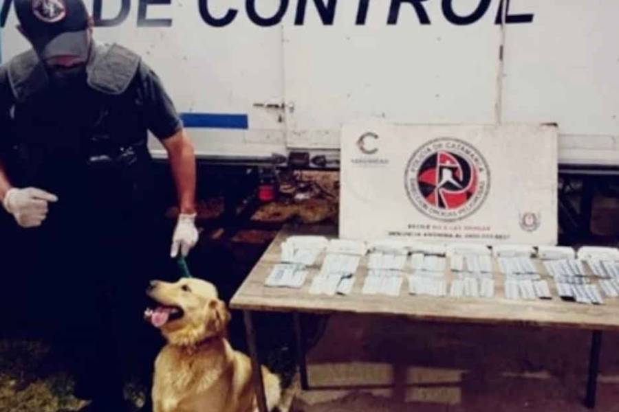 Viajaba con más de 500 comprimidos de ansiolíticos