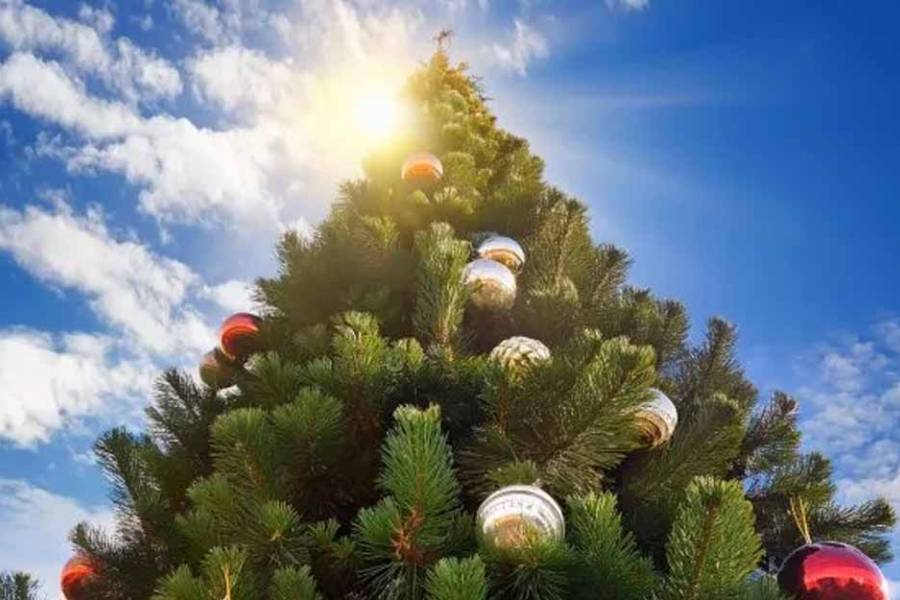 Oficial: cuándo son los asuetos otorgados a nivel nacional por las fiestas de fin de año