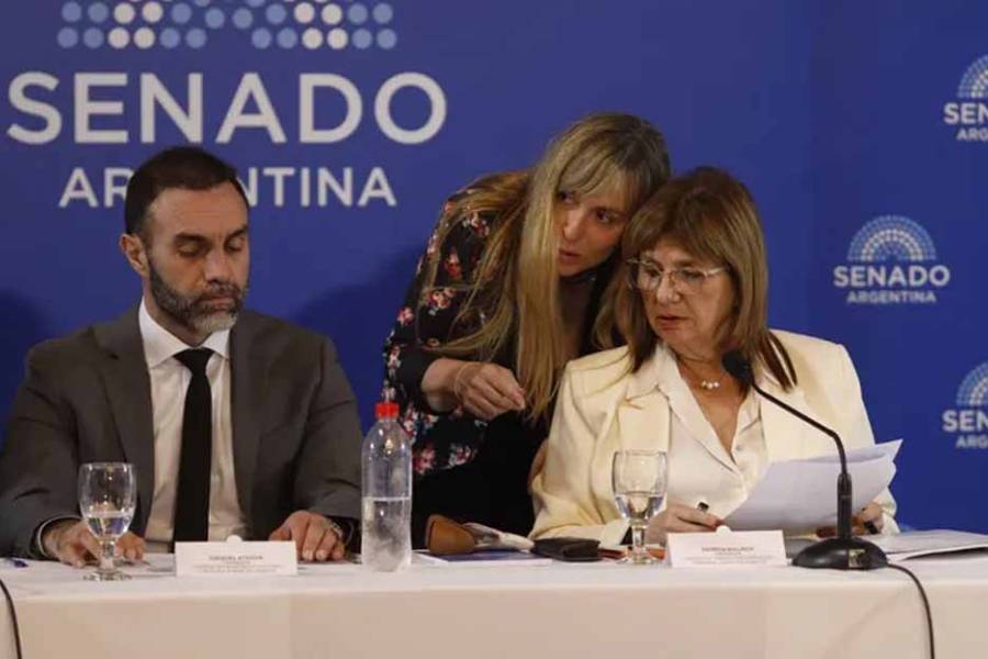 Presupuesto 2026: Patricia Bullrich cuida cada movimiento después de los fallidos en el Congreso