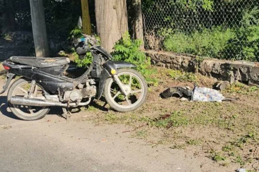 Chocó contra un árbol y esta grave