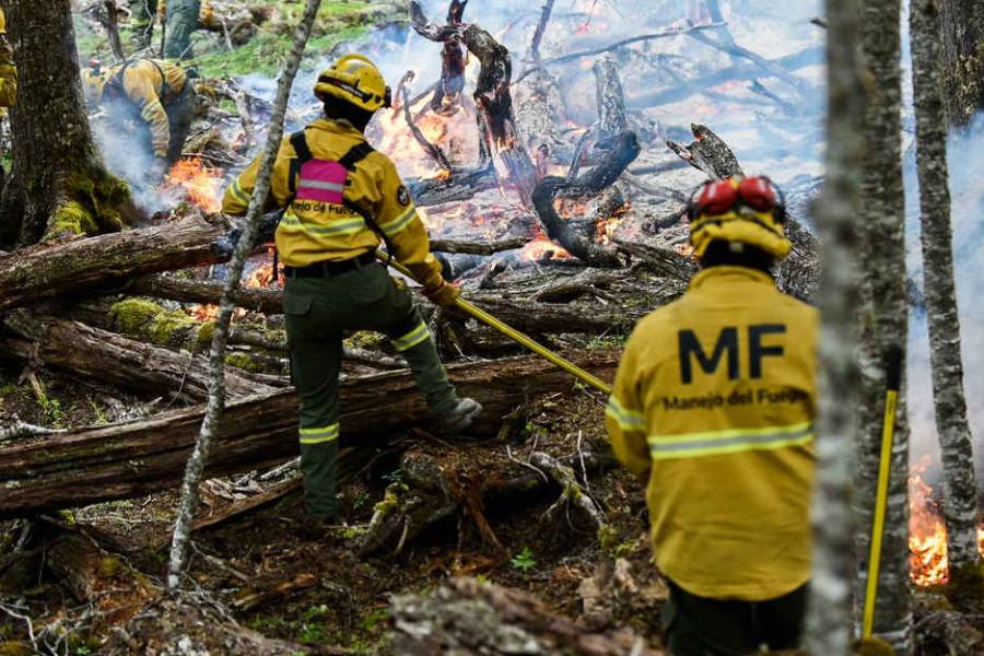Alerta por peligro de incendios en casi toda la Argentina