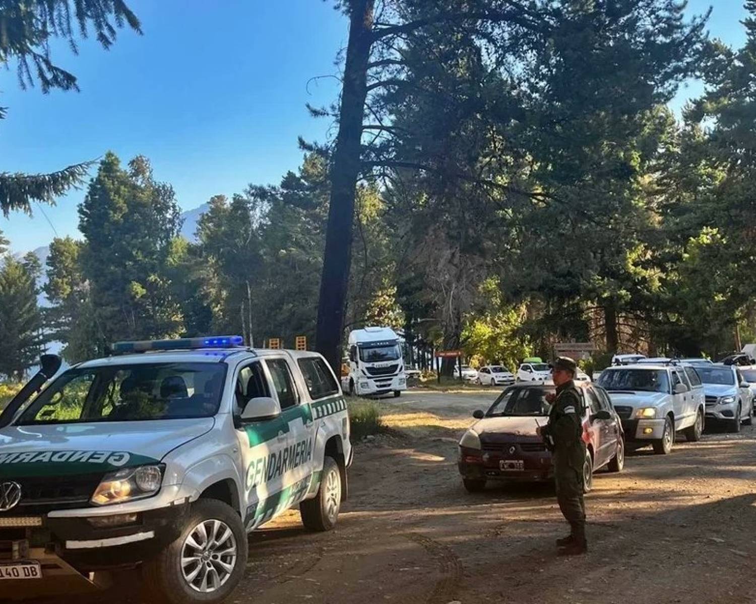 Piden declarar en emergencia la zona patagónica afectada por incendios forestales