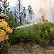 Incendios en la Patagonia: cómo quedó el Parque Nacional Los Alerces
