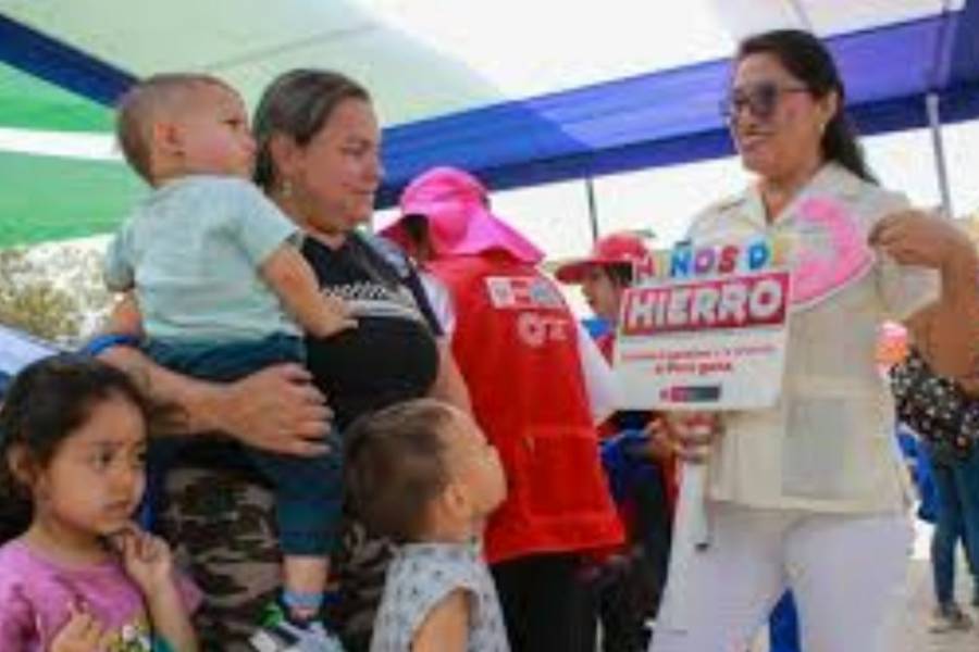 Campaña para prevenir la Anemia Materno Infantil