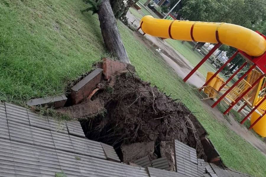 El temporal dejó casas anegadas y calles destruidas