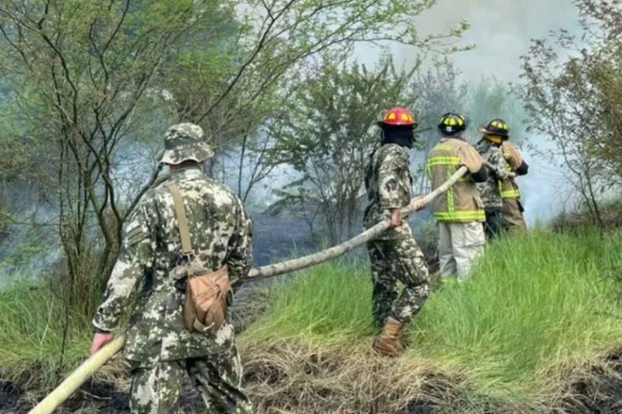 Un incendio en Paraguay consumió más de 50 hectáreas cerca del límite con Argentina