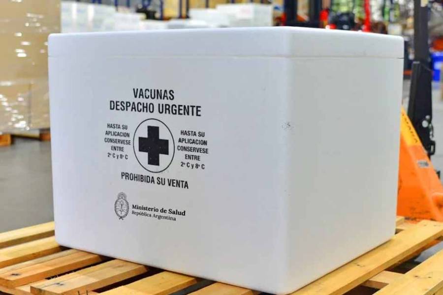 El mes próximo se inicia en todo el país la Campaña de Vacunación Antigripal