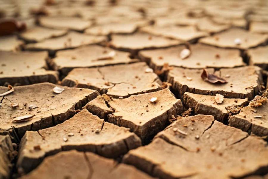 Economía prorroga la emergencia agropecuaria por sequía en nueve distritos de Santa Fe