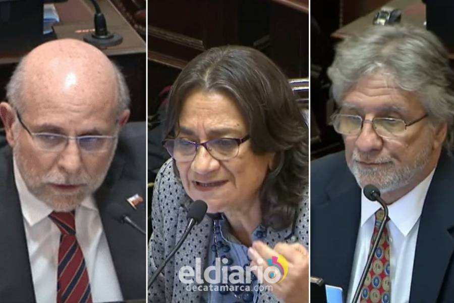 Flavio Fama votó a favor, Lucia Corpacci y Guillermo Andrada votaron en contra de bajar la edad de imputabilidad