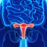 Día Mundial de la Endometriosis: no naturalizar el dolor también es cuidar la fertilidad