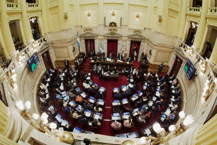 El Gobierno envió al Senado las reformas a las leyes de Discapacidad y Salud Mental
