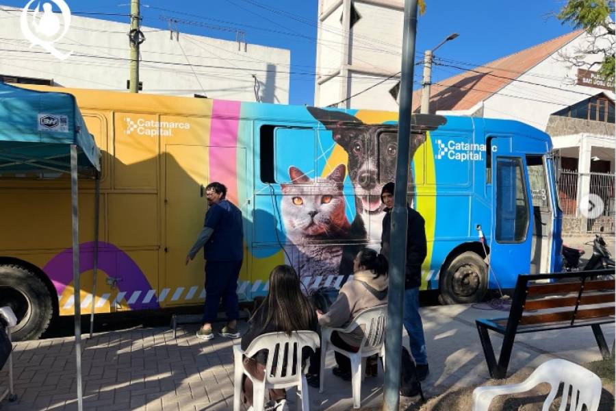 Quirófano móvil:  Veterinaria gratuita en la Capital