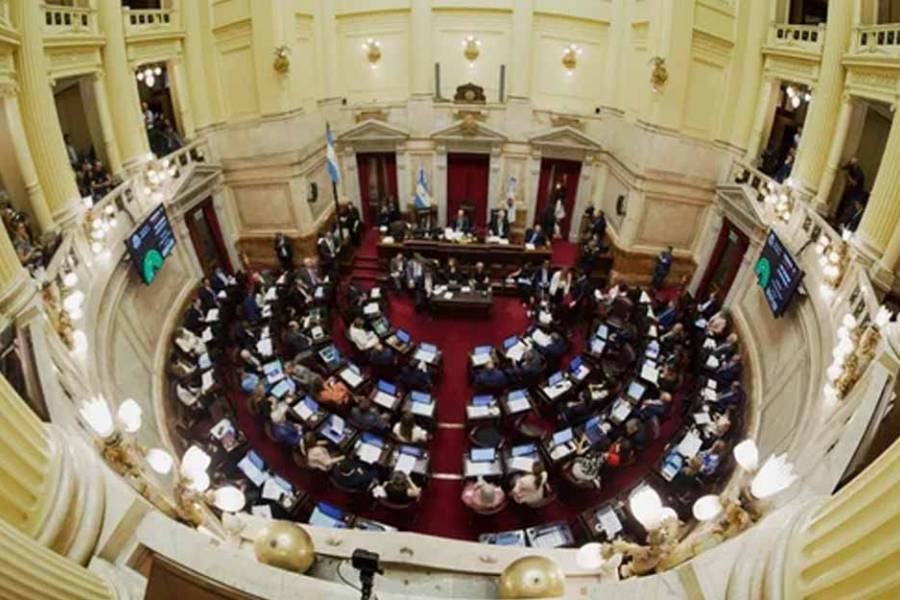 Senado debate la reforma de Salud Mental: autorizan internaciones no voluntarias y suman adicciones como enfermedad