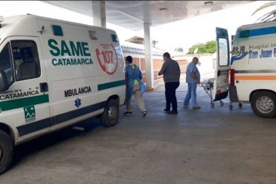 Podaba un árbol a 3 mts de altura, se cayó y terminó internado 