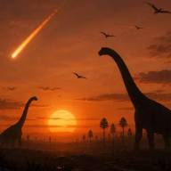 Una investigación reveló qué ser vivo logró sobrevivir al meteorito que acabó con los dinosaurios