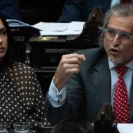 El oficialismo logró aprobar la Ley Hojarasca en Diputados