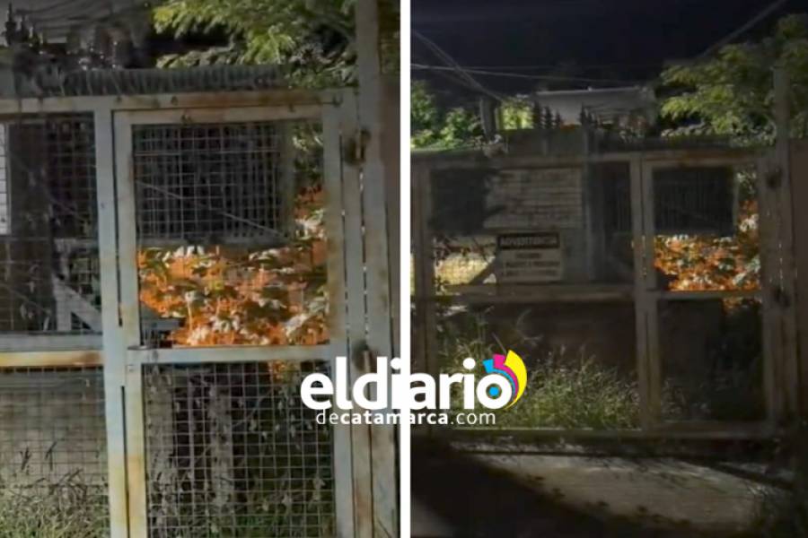 Intentan robar cables y producen incendio en La Carrera 