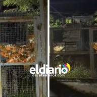 Intentan robar cables y producen incendio en La Carrera 