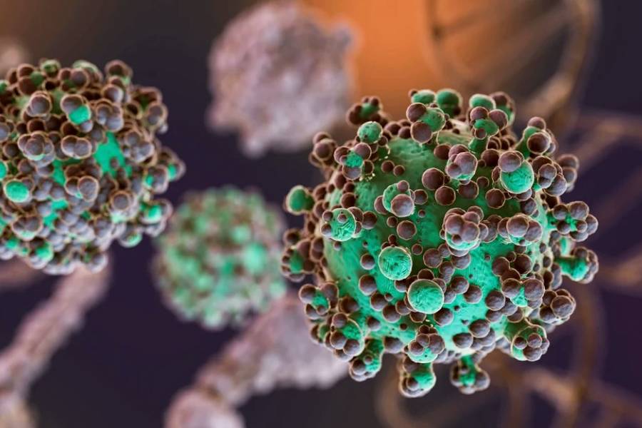 Hantavirus: no se notificaron nuevos casos en Argentina